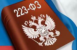 ������ ������� ������� ������������ ���������� ��� ������� ��������� �� 223-��