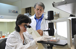 ������� ������� �&nbsp;���������� ������������������� ����