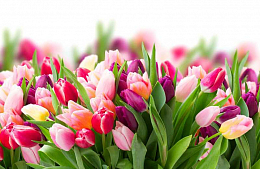 � ���������� 8&nbsp;�����!