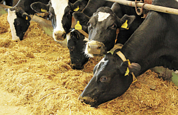 ���������� ���������� ������������ ������ �&nbsp;����������� �������� ��������� ��������� �&nbsp;2018 ���� 