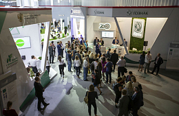 ���������� ���������� ����� - 2019&nbsp;������� 12-13 ��������